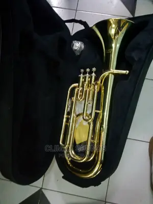 Bariton Suzuki or Premier