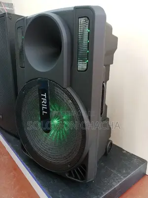 Trill 15" Portable Speaker
