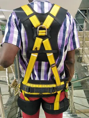 Panacea Safety Harness