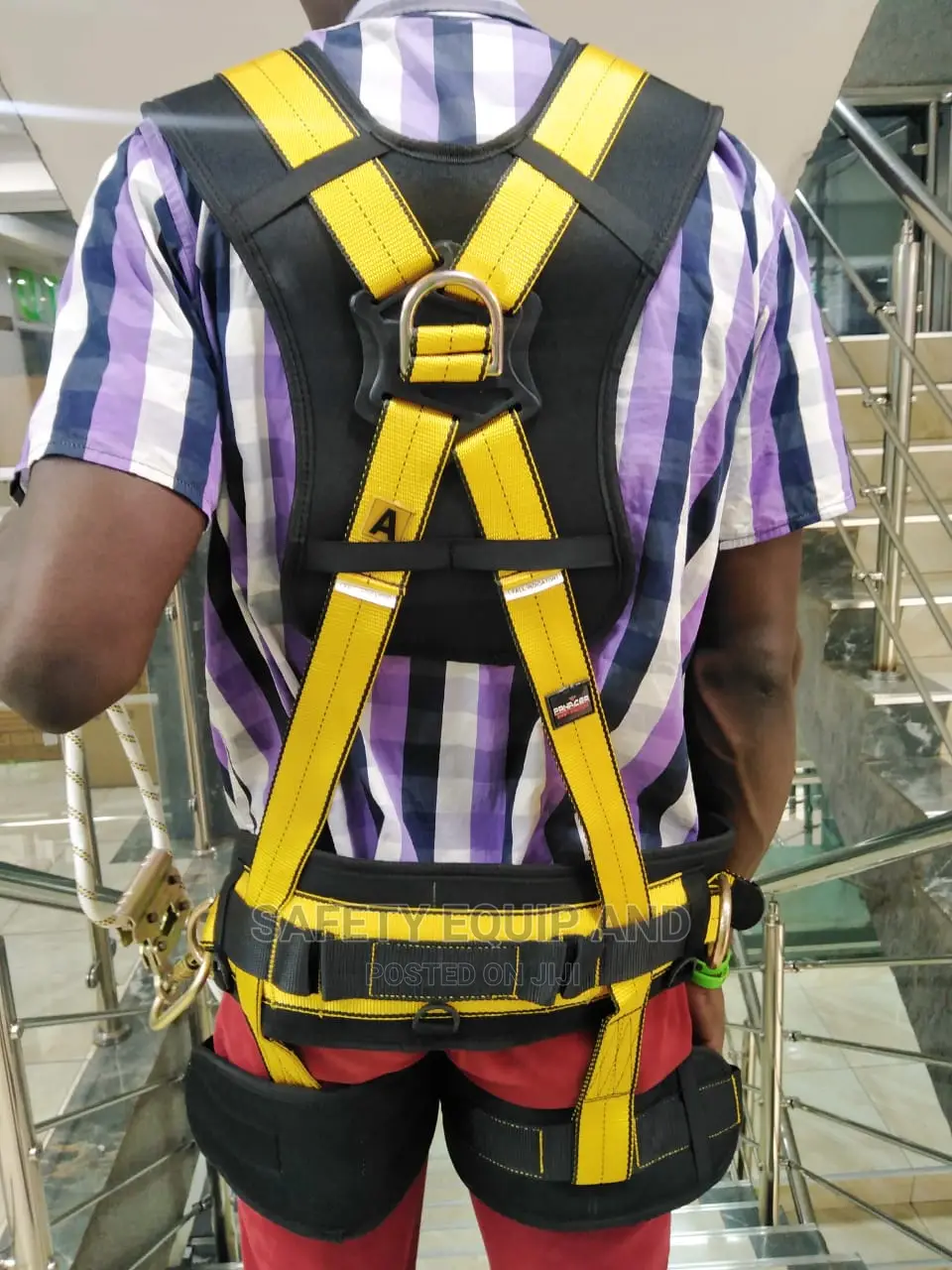 Panacea Safety Harness
