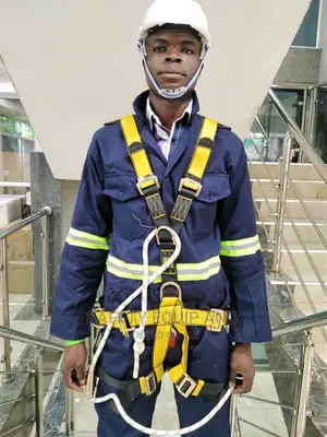 Panacea Safety Harness