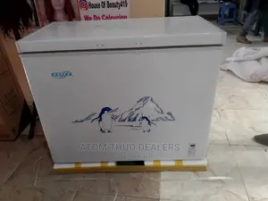 169 Deep Freezer Ice Cooler
