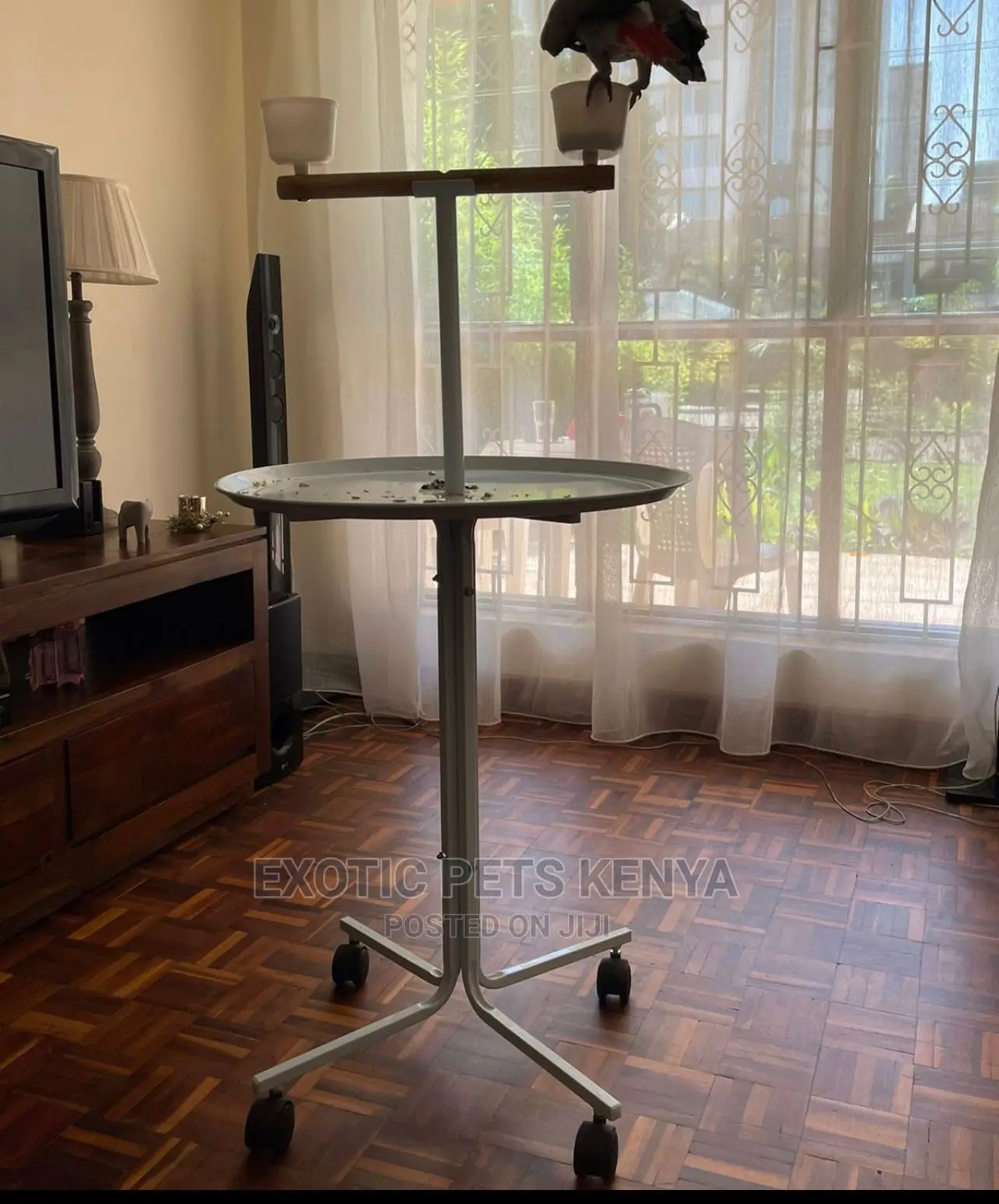 Parrot Stand