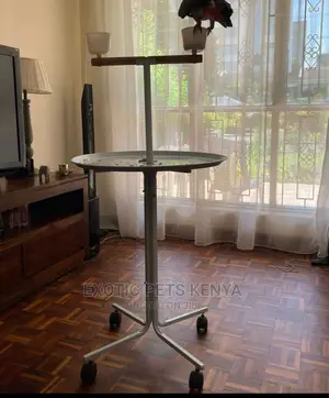Parrot Stand