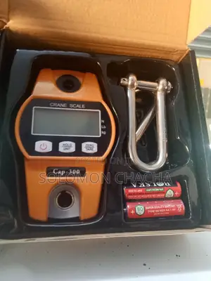 Crane Scale 300kg