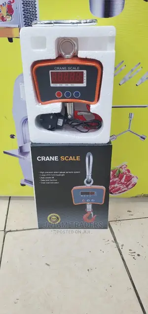 500kg Crane Scale