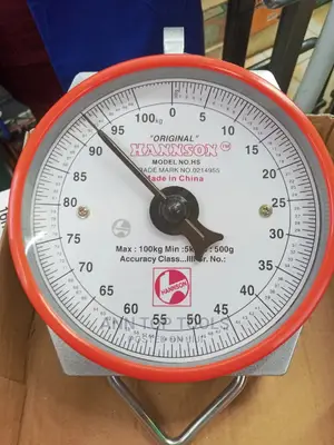 Hanson 100 Kg Hanging Scale