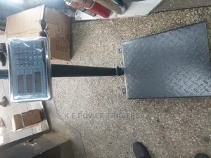 Affordable Precision Weighing 300kg Weighing Scale