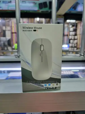 Wireless Mouse (Rechargeable)