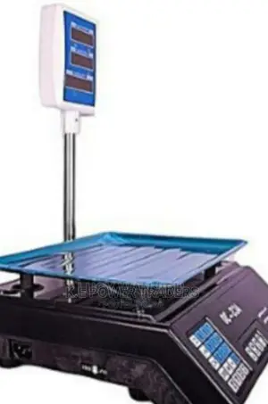New Brand Digital 30kgs With a Pole