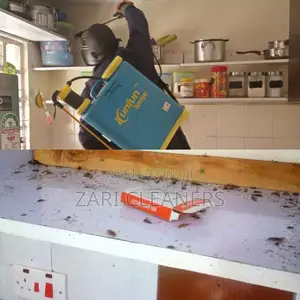 Fumigation Services That Clears Cockroaches and Bedbugs