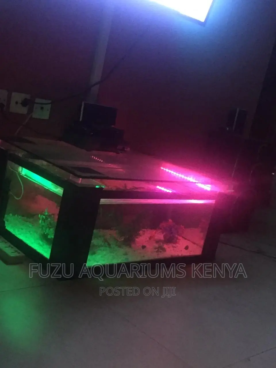 Coffee Table Aquarium 