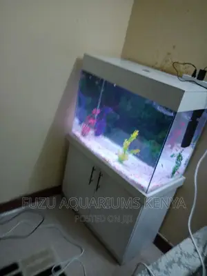 Aquarium Mombasa