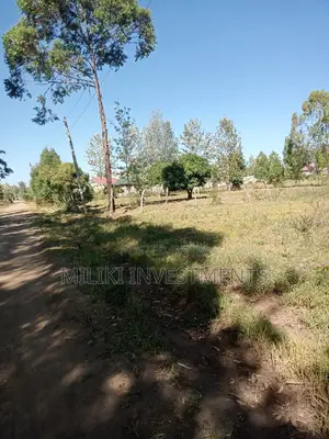Commercial 40 by 80 Plots on Sale at Kenol Town Area.