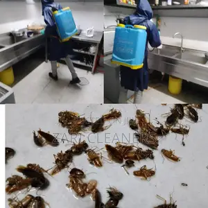 Pests Control Service You Can Trust