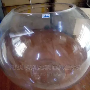 Large Emptying Fish Bowl