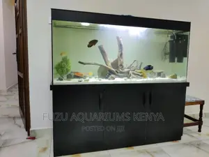 Black Aquarium 5ft