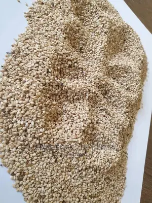 White Sesame Seeds Per Ton.