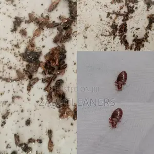 Comprehensive Fumigation Solution to Cockroaches/Bedbugs
