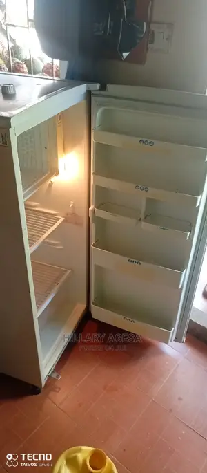 Repair Services Fridge
