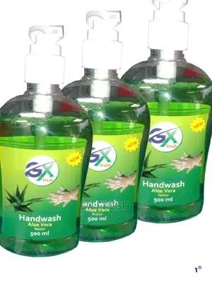 Antibacterial Handwashing Liquid Soap