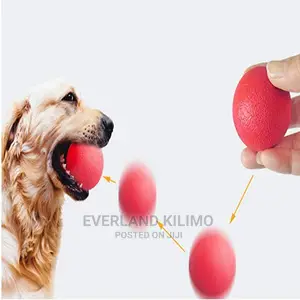 Fetch Ball Toy- Pet