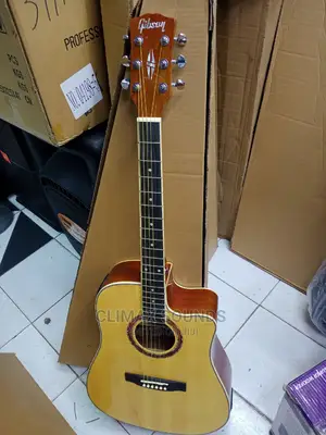 Semi Acoustic Gibsony 41 Inches