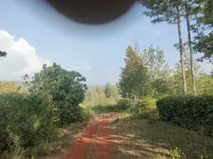Nyeri/Kericho 7 Acres