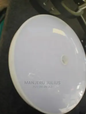 Motion Sensor Ceiling Light