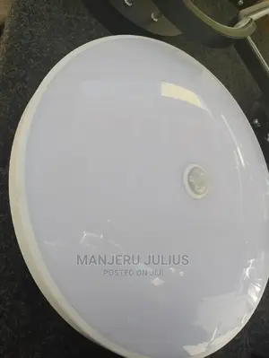 Motion Sensor Ceiling Light