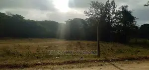 A Plot on Sale, 100*600