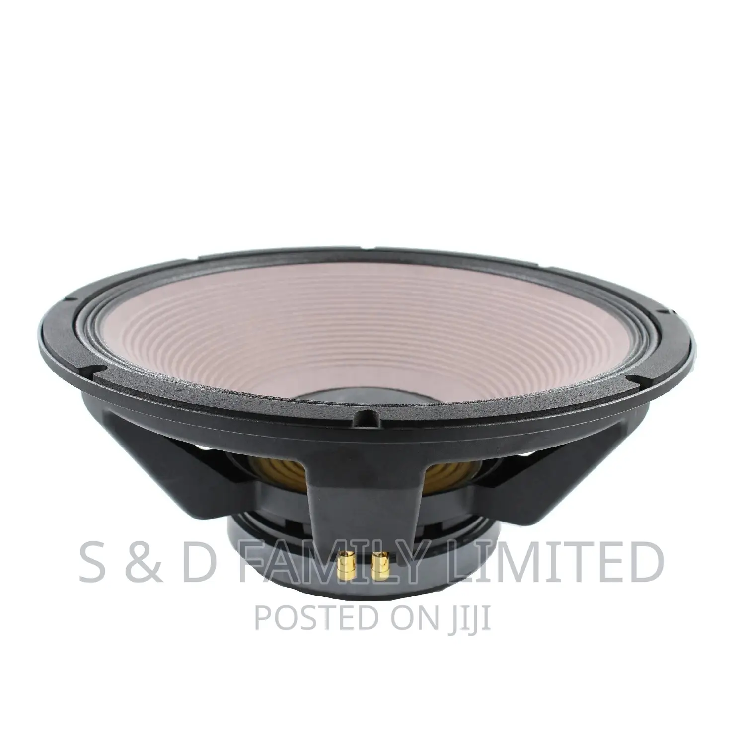 JBL Midrange Speaker