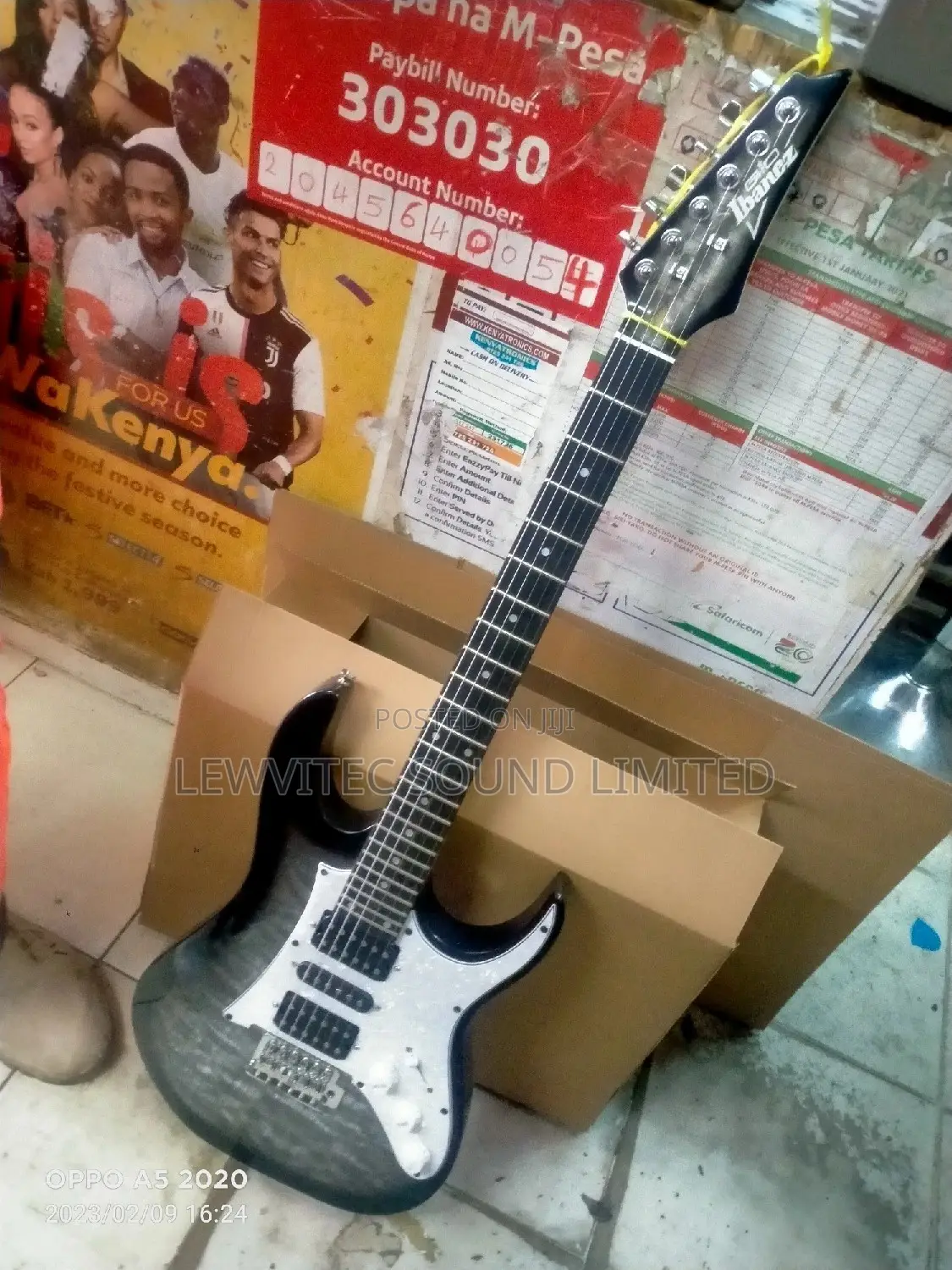 Ibanez 24 Flates Guitar