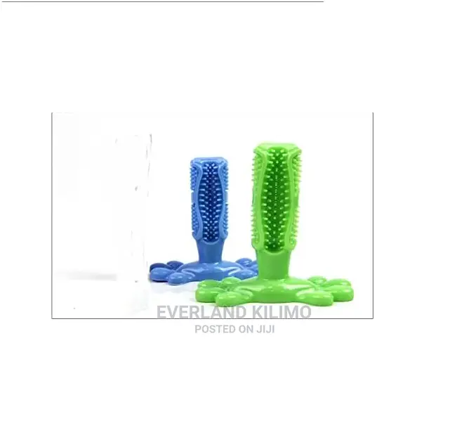 Pet Toy Bone Toothbrush