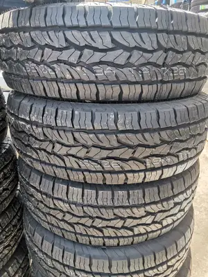 235/65r17 Dunlop Tyre (A/T