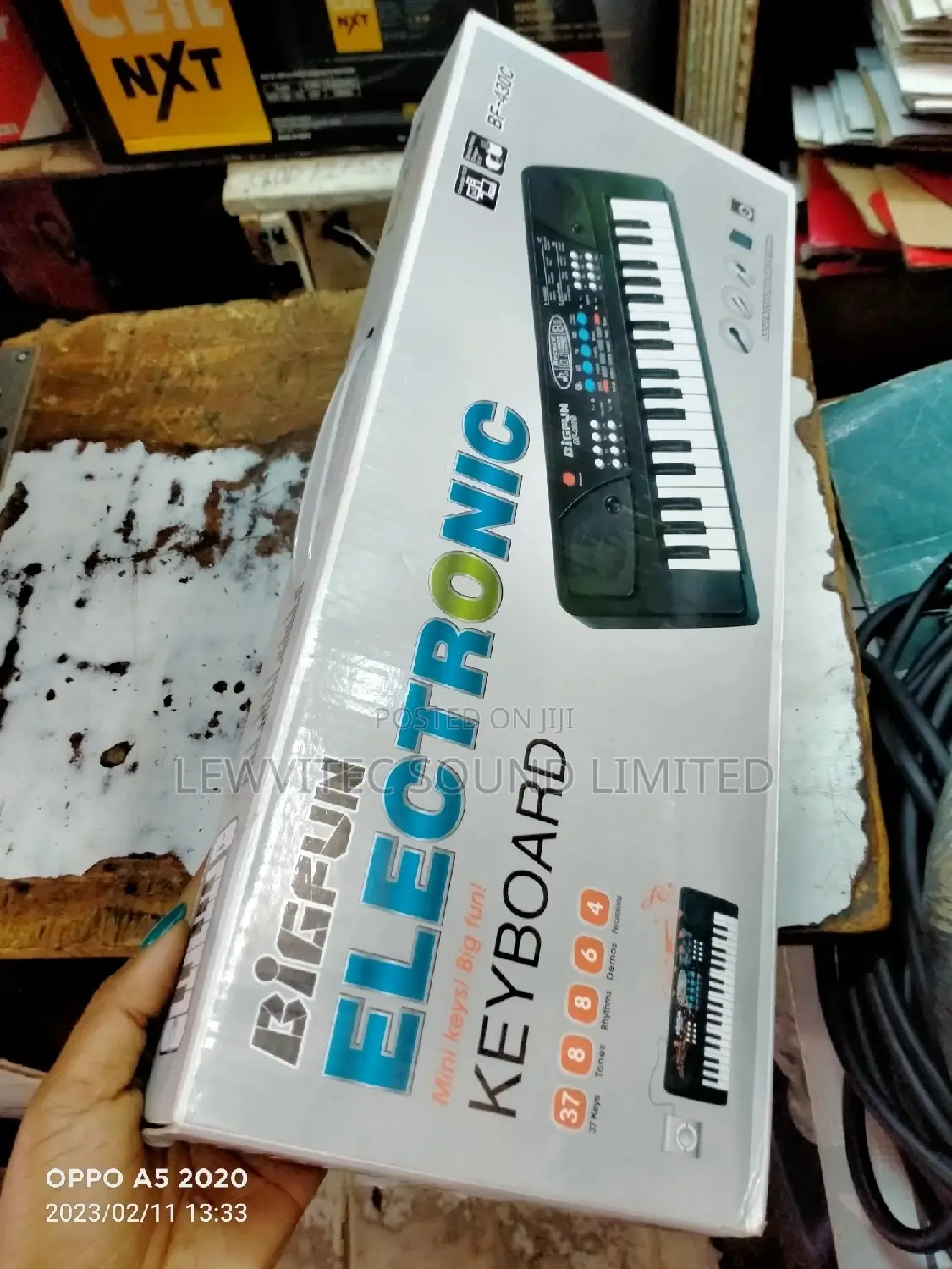Bigfun Electronic Keyboard