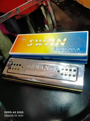 Harmonica Swan