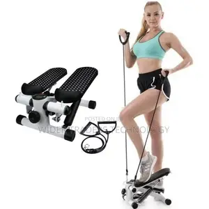 Mini Stepper Fitness Exercise Machine