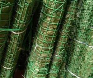 Artificial Green Fence