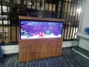 4 Feet Aquarium