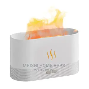 Humidifier With Flame Effect
