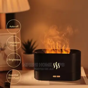 Humidifier With Flame Effect