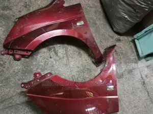 Toyota Isis Wings(Fenders).