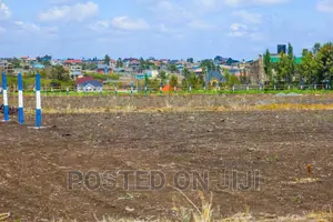 Strategic Prime Plots in Kamulu^Jm