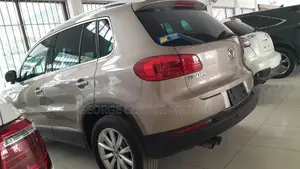 Volkswagen Tiguan 2015 Beige