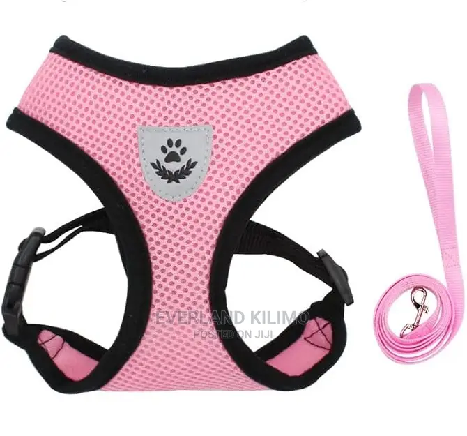 Dog/Cat Harness and Leash- Medium