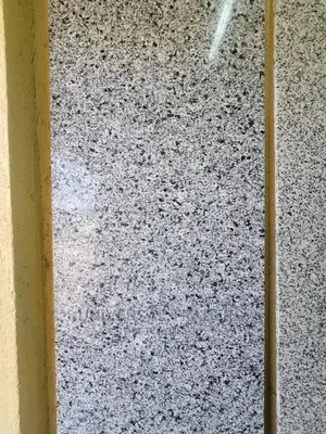 Polished Grey Granite