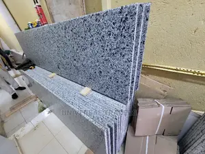Grayish-White Granite Countertops
