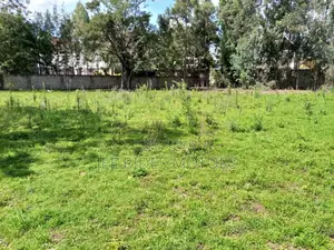 0.5 Acres for Sale at Karen Windy Ridge