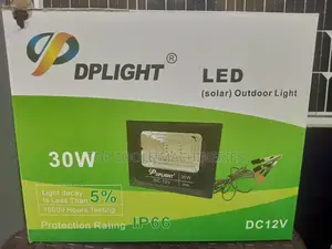 30watts DP Light